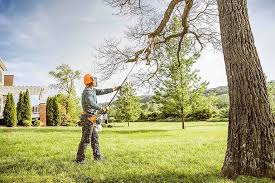 Reliable Fair Haven, NJ Tree Services Solutions